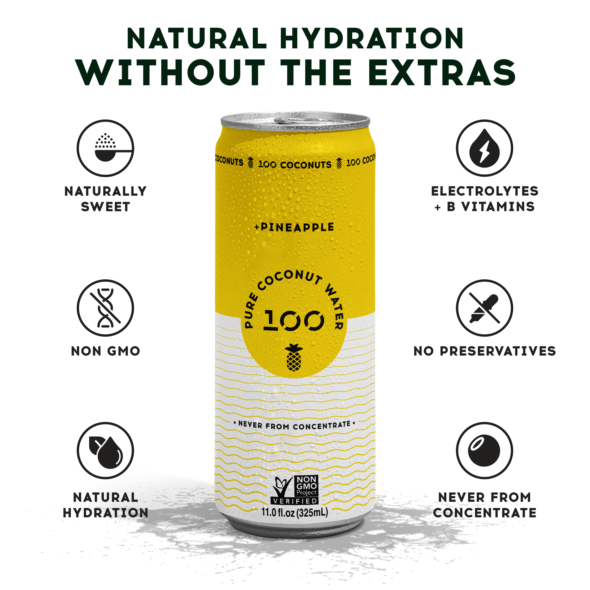 PURE COCONUT WATER + PINEAPPLE