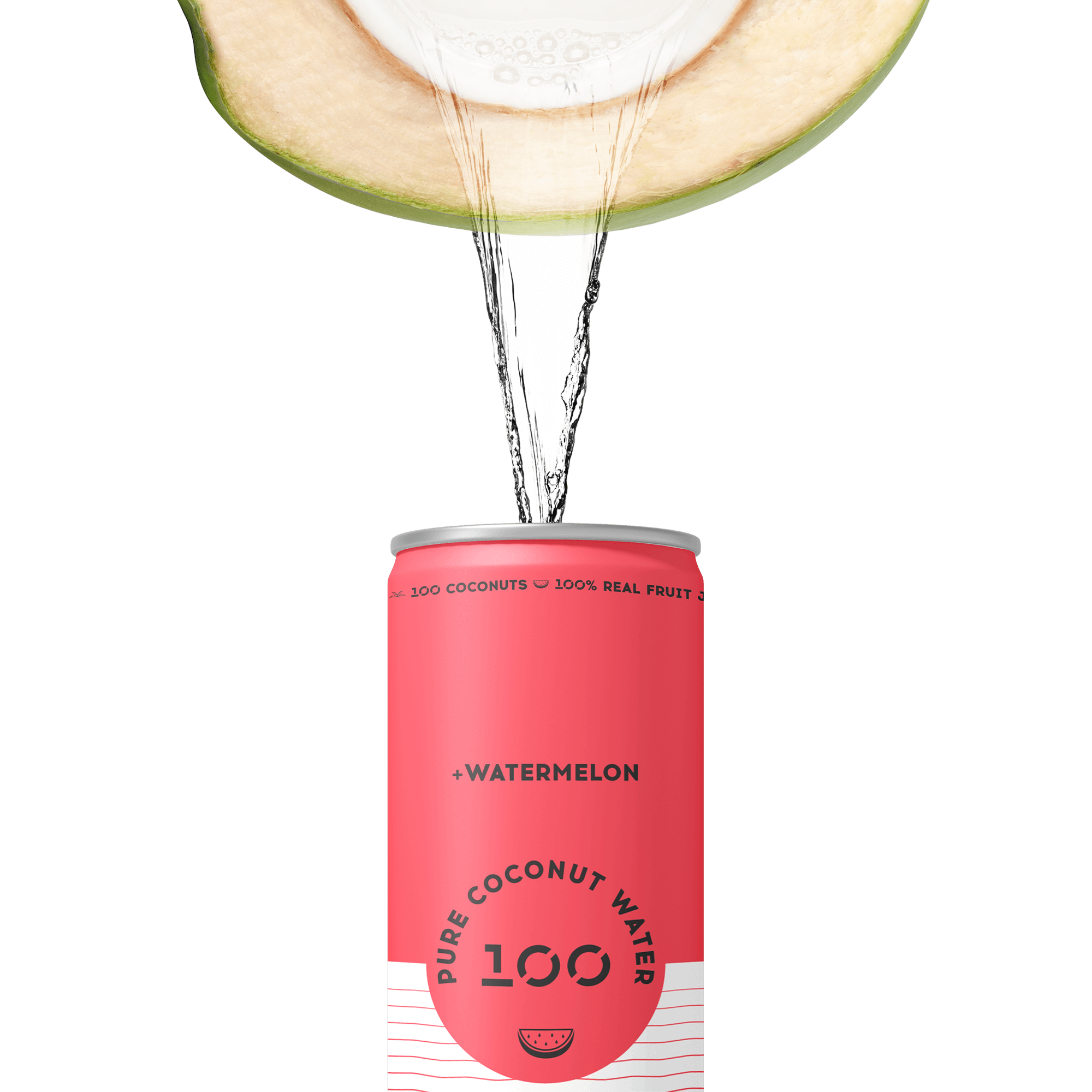 PURE COCONUT WATER + WATERMELON
